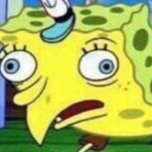 Meet your Posher, Dillon